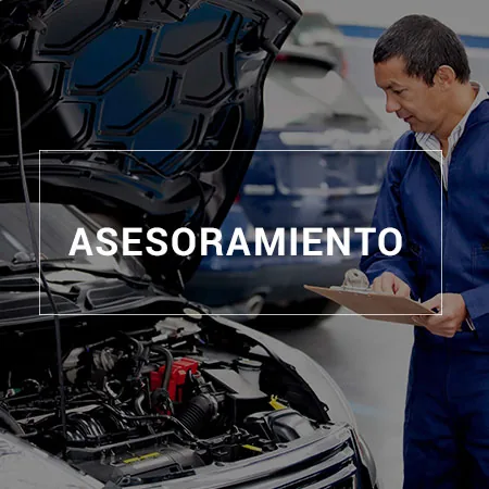 baterias colonia, baterias en san fernando, baterias para autos, baterias nauticas, baterias para barcos, baterias moura, baterias willard